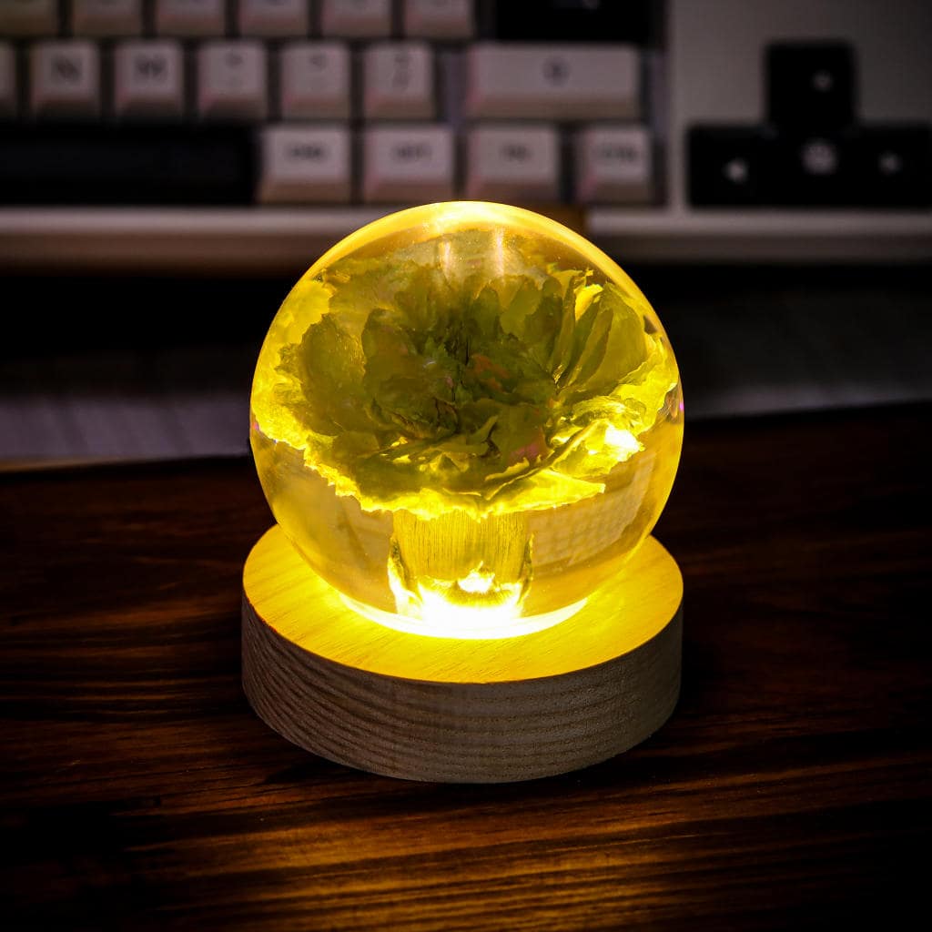 Carnation Flower Sphere Resin Lamp 2 Carnation Flower Sphere Resin Lamp