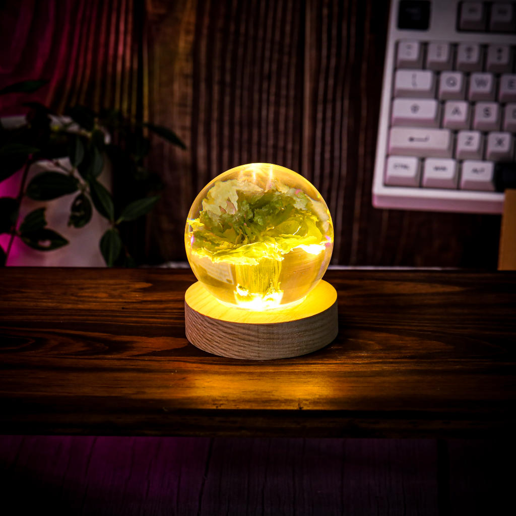 Carnation Flower Sphere Resin Lamp 11 Carnation Flower Sphere Resin Lamp