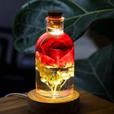Enchanted Rose Night Light